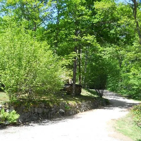 Confortable Avec 4 Chambres, Cheminee, Grand Terrain, Proche Pistes Et - Fr-1-589-107 Le Menil