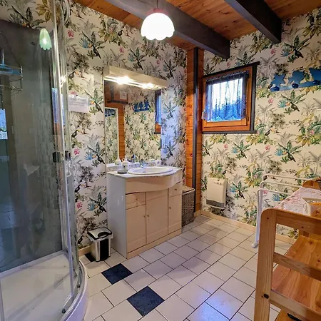 Confortable Avec 4 Chambres, Cheminee, Grand Terrain, Proche Pistes Et - Fr-1-589-107