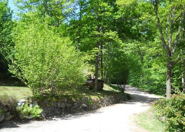 Confortable Avec 4 Chambres, Cheminée, Grand Terrain, Proche Pistes Et - Fr-1-589-107 Le Ménil